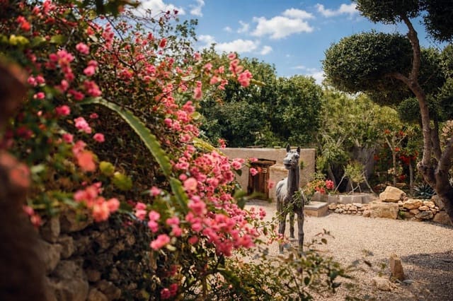 5 soverom Villa til salgs i Agua Amarga, Níjar med svømmebasseng - € 1 300 000 (Ref: 9701475)