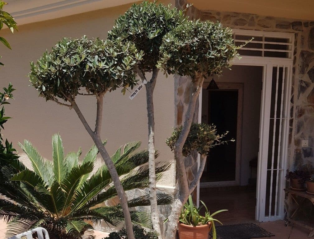 5 bedroom Villa for sale in Alfaz del Pi / L'Alfas del Pi with pool - € 550,000 (Ref: 8469960)