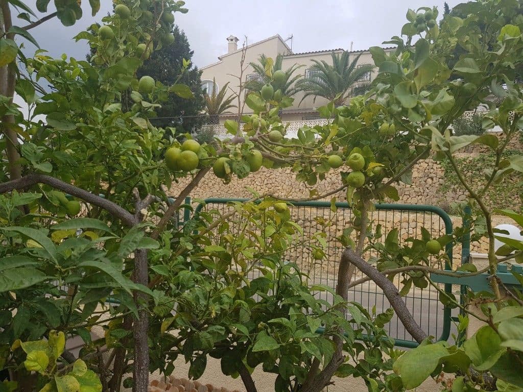 5 bedroom Villa for sale in Alfaz del Pi / L'Alfas del Pi with pool - € 550,000 (Ref: 8469960)