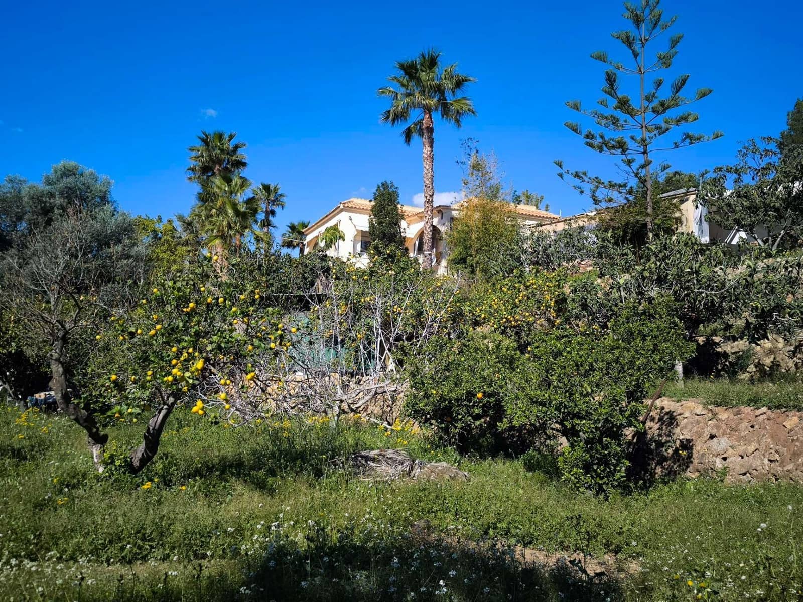 5 sypialnia Willa na sprzedaż w La Nucia z garażem - 475 000 € (Ref: 9719507)