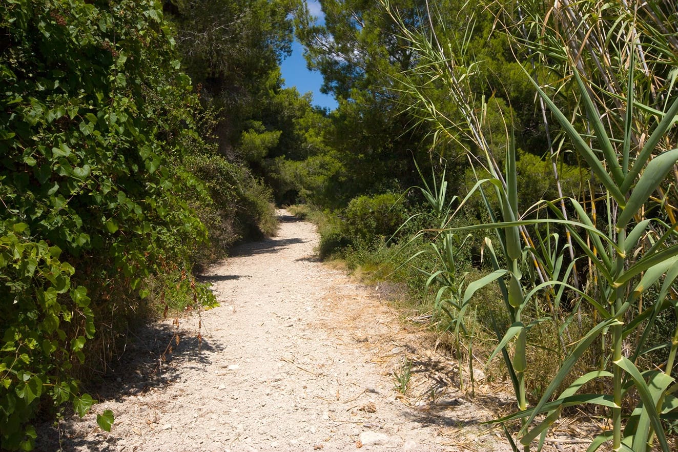 Byggegrund til salg i Benissa - € 191.000 (Ref: 4844136)