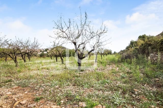 Bouwgrond te koop in Pedreguer - € 225.000 (Ref: 4844740)