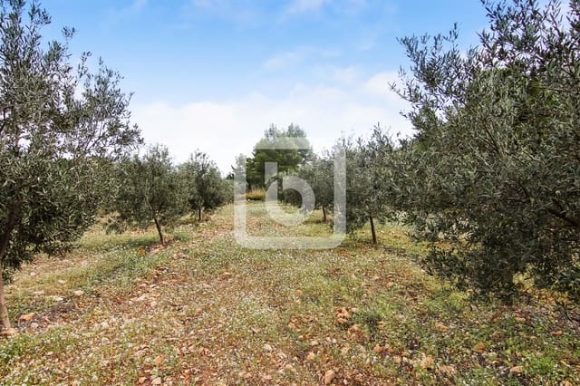 Bouwgrond te koop in Pedreguer - € 225.000 (Ref: 4844740)