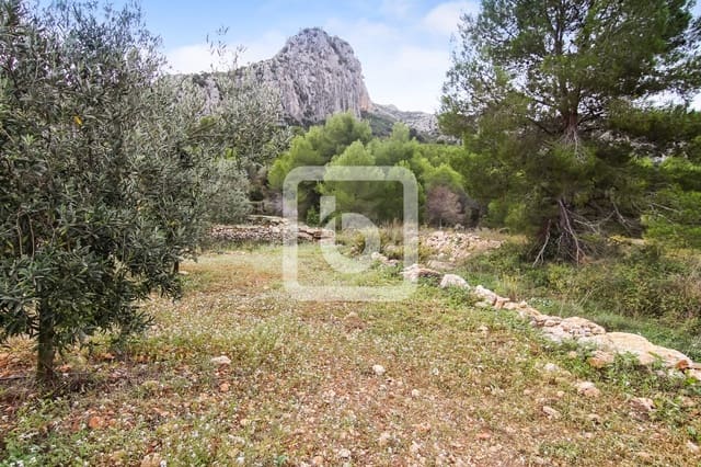 Bouwgrond te koop in Pedreguer - € 225.000 (Ref: 4844740)