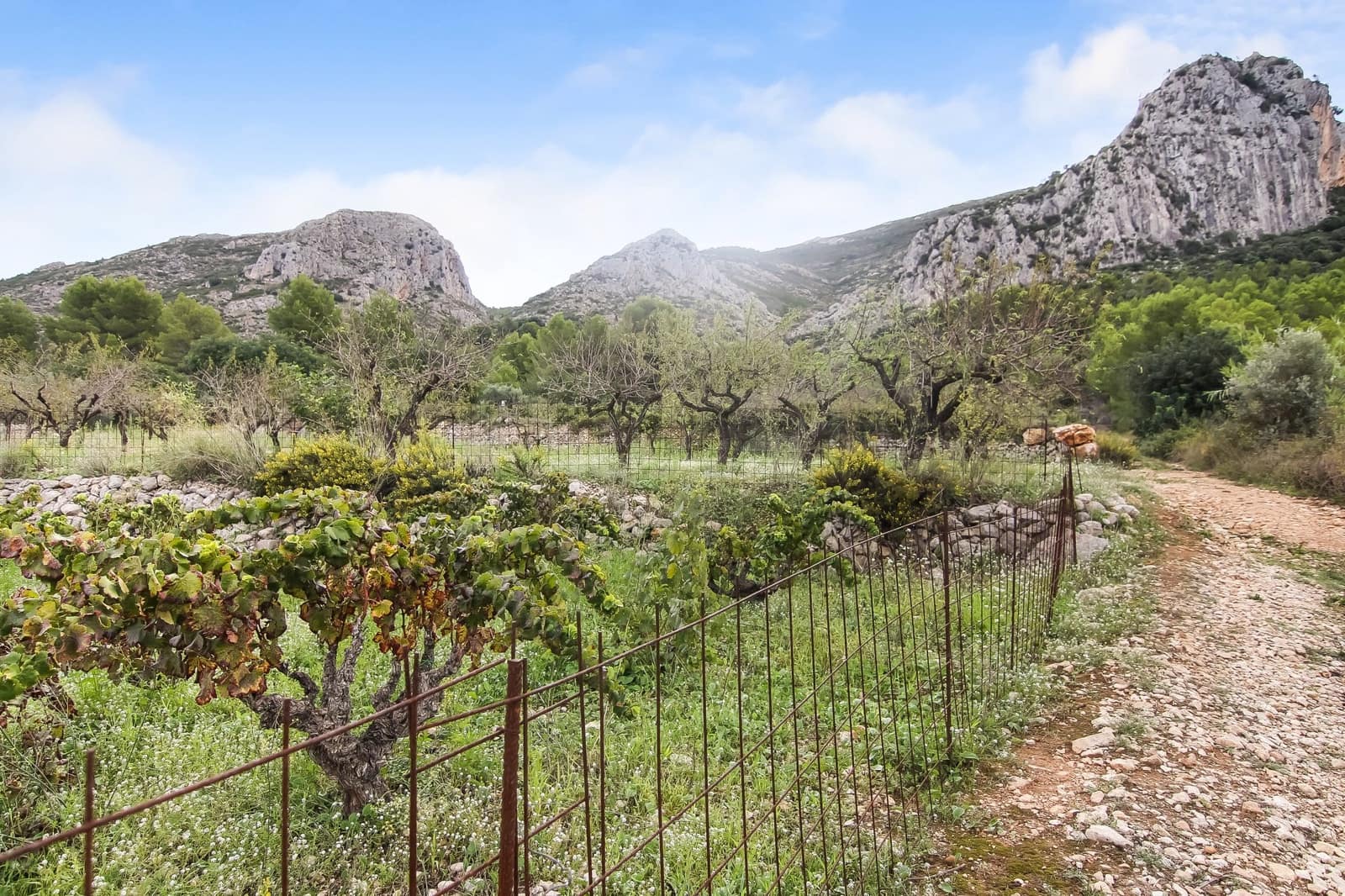 Byggegrund til salg i Pedreguer - € 225.000 (Ref: 4844740)