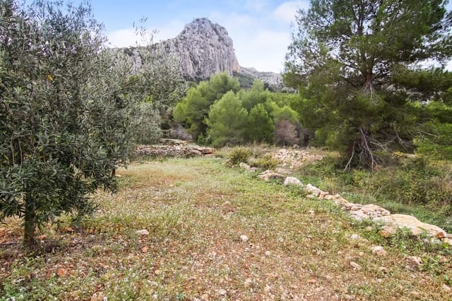 Building Plot for sale in Pedreguer - € 225,000 (Ref: 4844740)