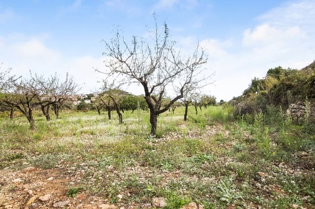 Building Plot for sale in Pedreguer - € 225,000 (Ref: 4844740)