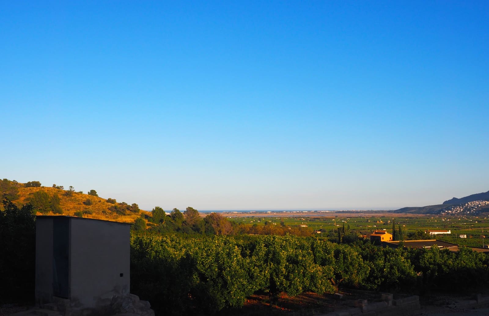 Tontti myytävänä paikassa Pego - 3 300 000 € (Ref: 5002655)