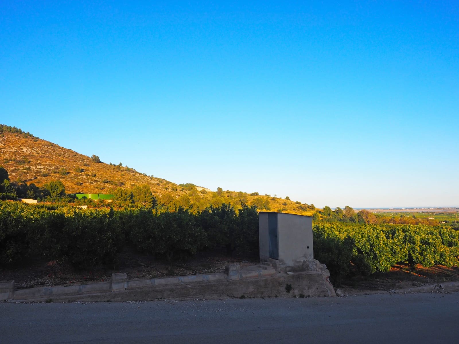 Tontti myytävänä paikassa Pego - 3 300 000 € (Ref: 5002655)