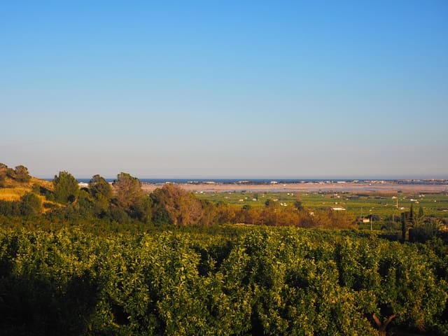 Tomt till salu i Pego - 3 300 000 € (Ref: 5002655)