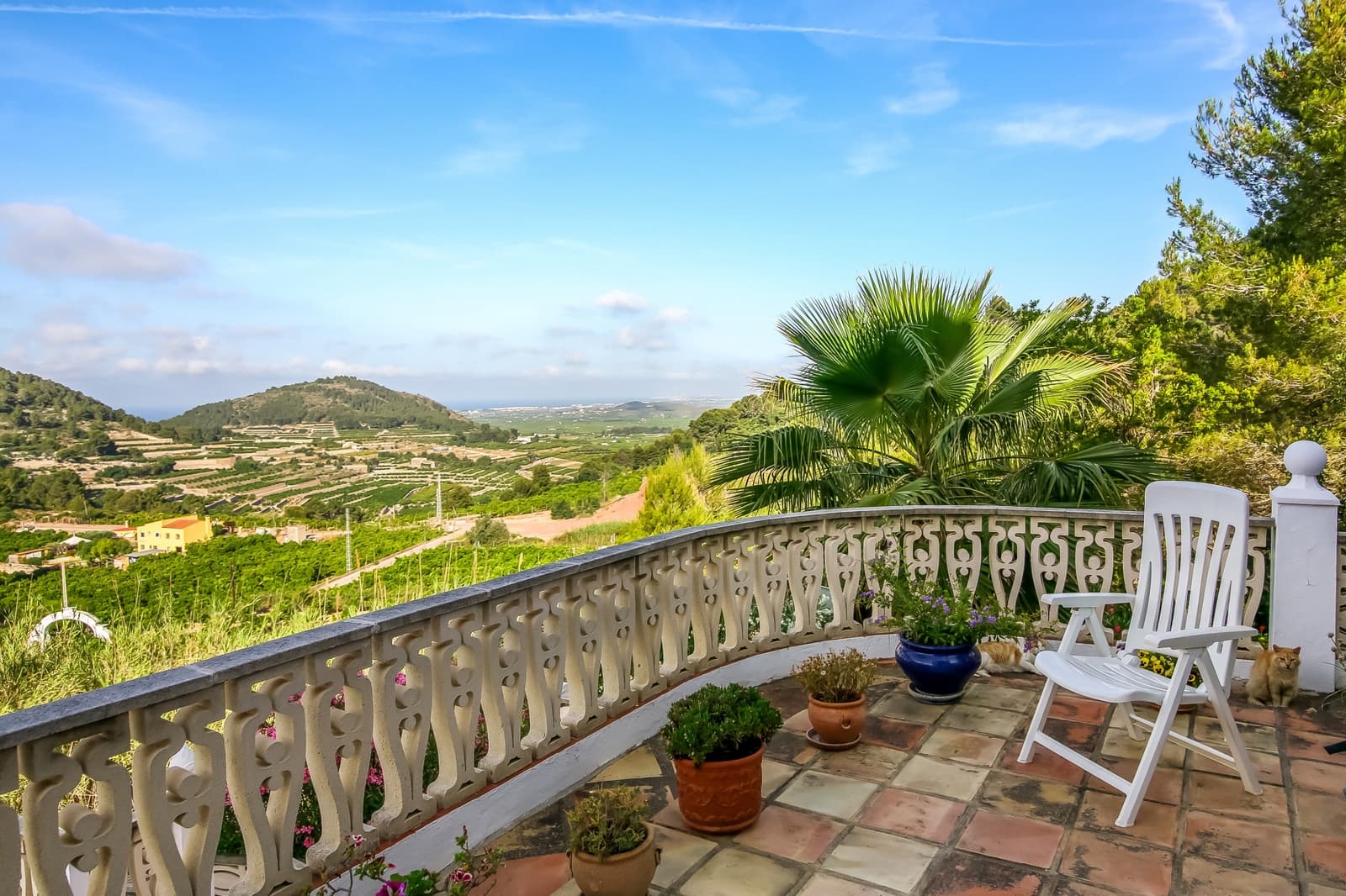 11 sovrum Hotell till salu i Oliva med pool - 975 000 € (Ref: 5061436)