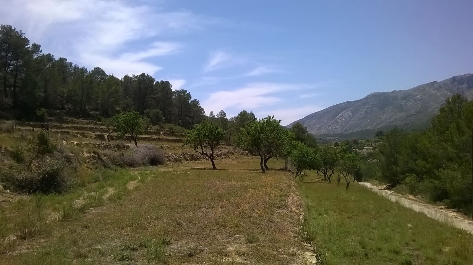 Bouwgrond te koop in Benissa - € 199.000 (Ref: 6512453)