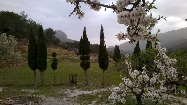 Bouwgrond te koop in Benissa - € 199.000 (Ref: 6512453)