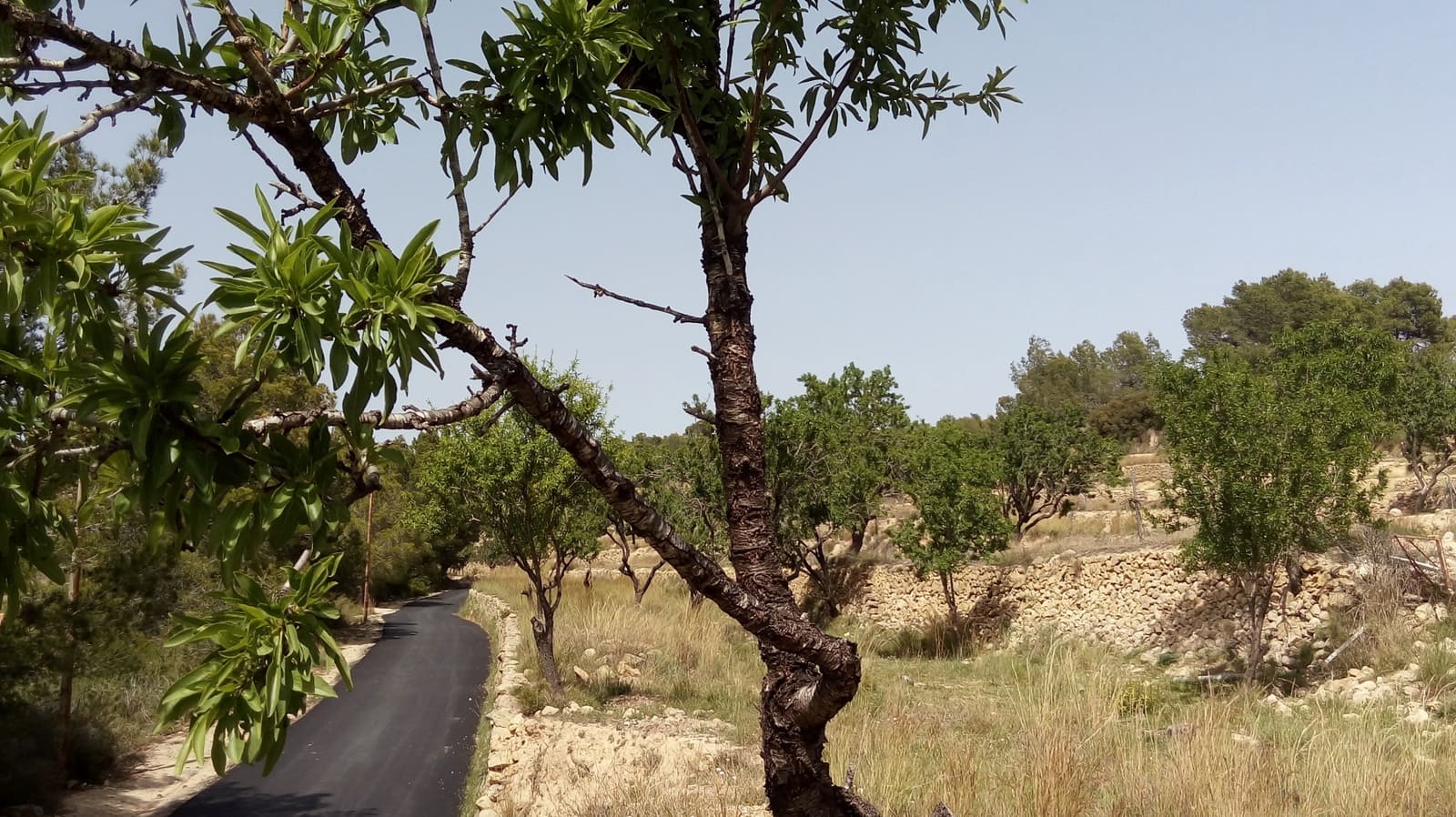 Bouwgrond te koop in Benissa - € 199.000 (Ref: 6512453)