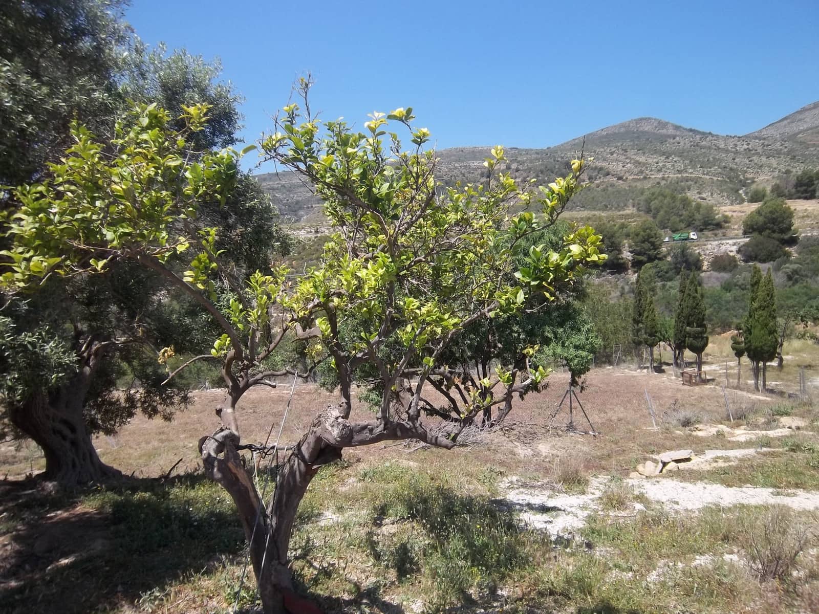 Bouwgrond te koop in Benissa - € 199.000 (Ref: 6512453)