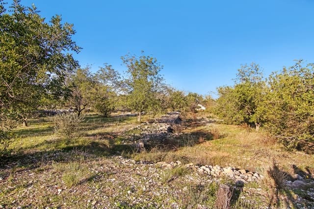 Byggegrund til salg i Parcent - € 105.000 (Ref: 6512598)