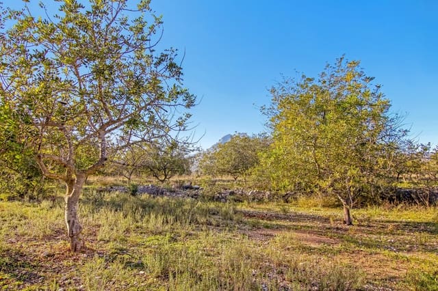 Byggegrund til salg i Parcent - € 105.000 (Ref: 6512598)