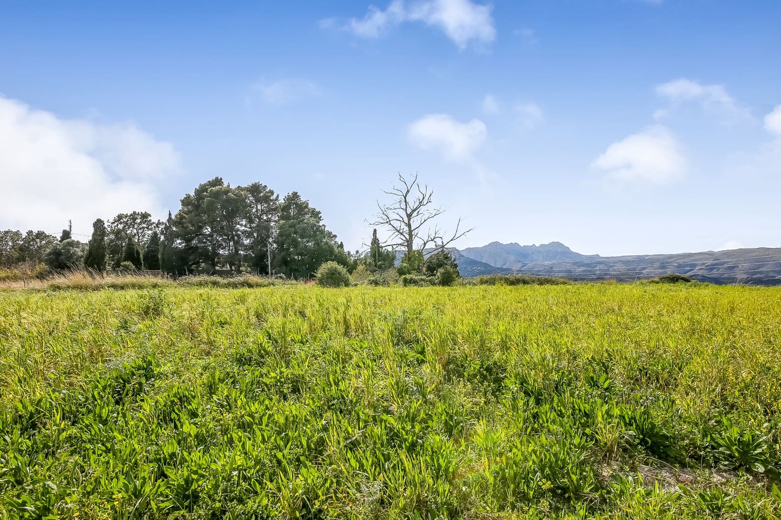 Byggetomt til salgs i Benissa - € 280 000 (Ref: 6512666)