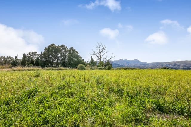 Byggetomt til salgs i Benissa - € 280 000 (Ref: 6512666)