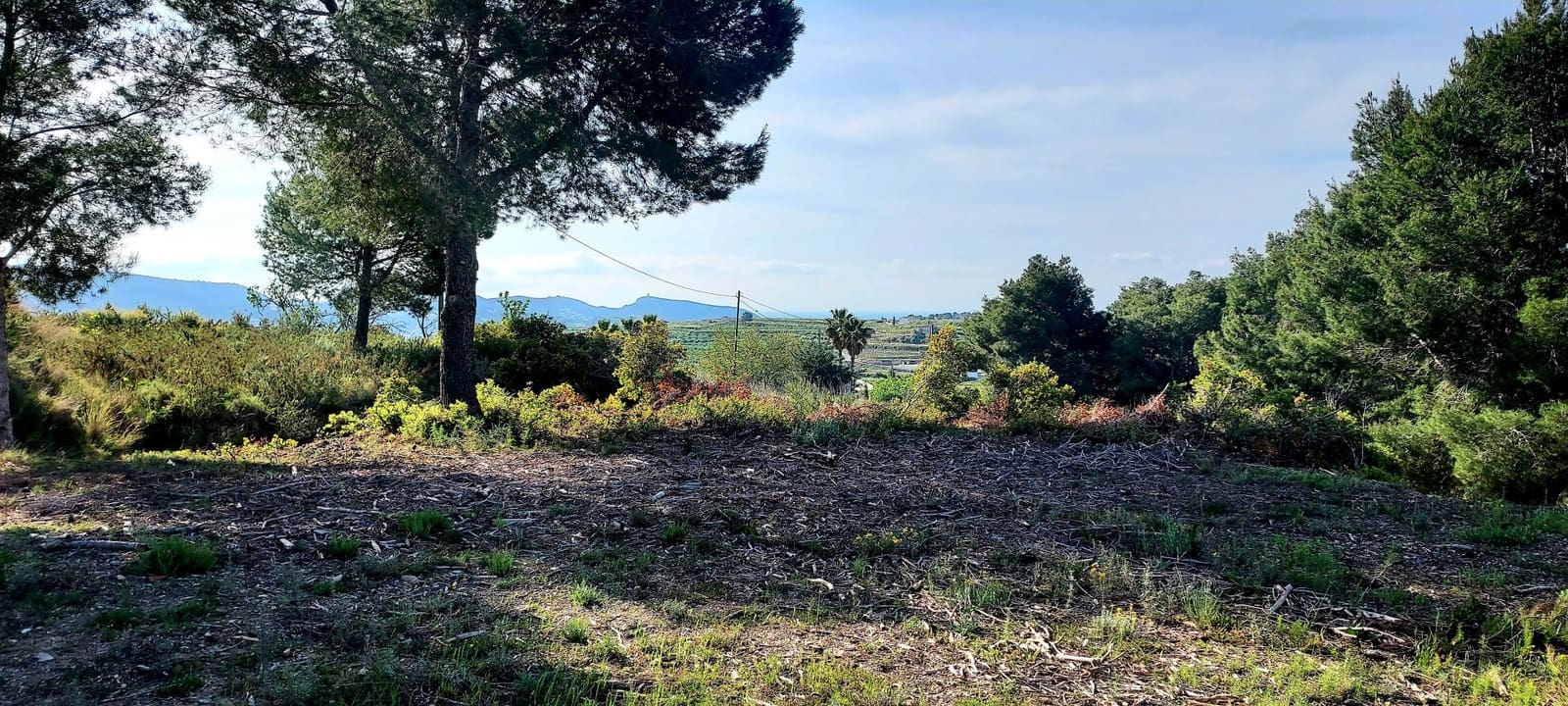 7 soveværelse Finca/Landehus til salg i Teulada med swimmingpool - € 2.350.000 (Ref: 6858556)