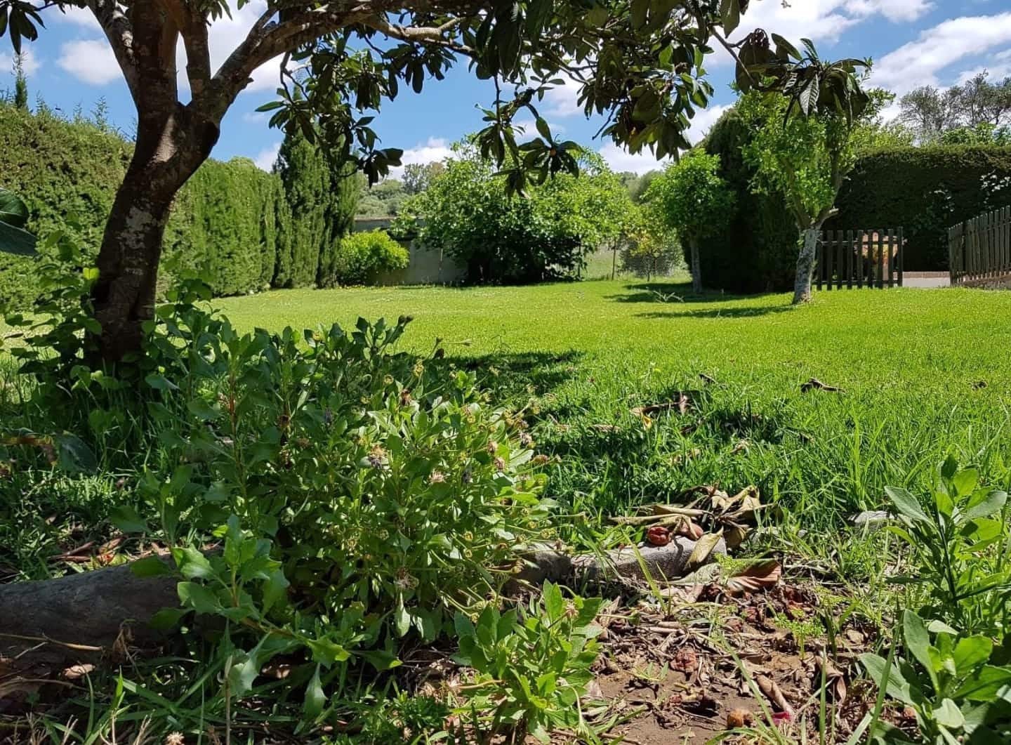 5 soveværelse Villa til salg i Jimena de la Frontera med swimmingpool - € 649.000 (Ref: 7942392)