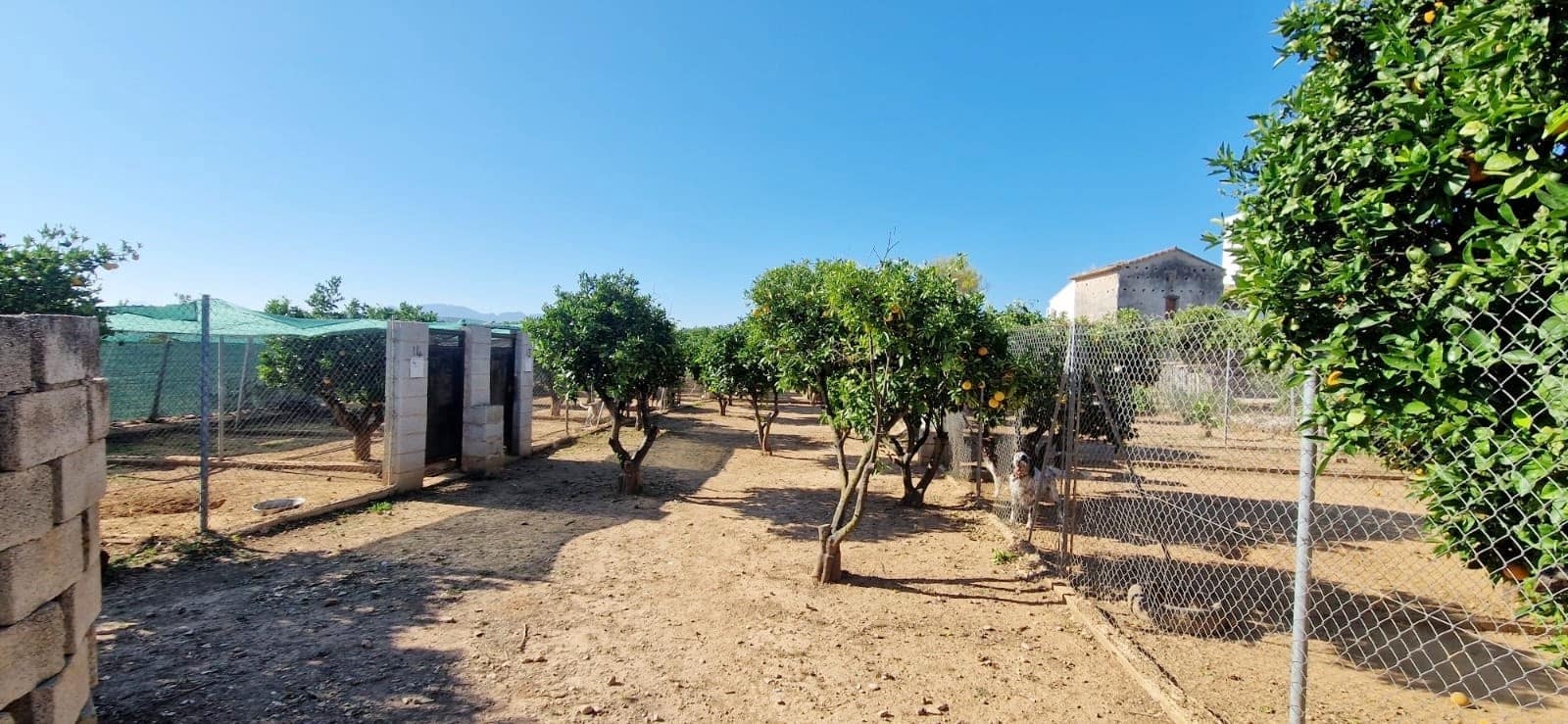 4 soverom Villa til salgs i Oliva med svømmebasseng - € 499 000 (Ref: 8172577)