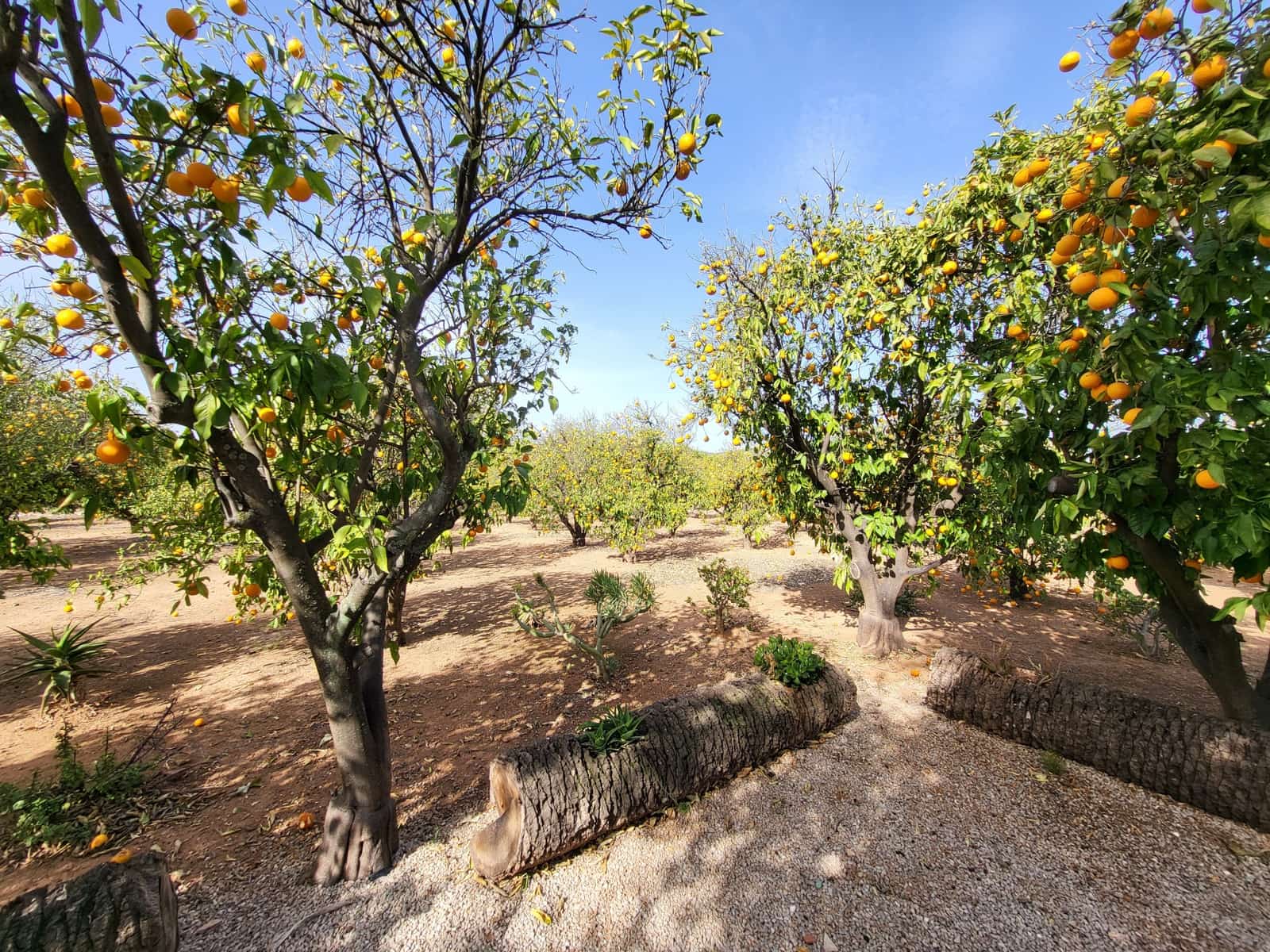 4 soverom Villa til salgs i Oliva med svømmebasseng - € 499 000 (Ref: 8172577)