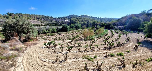 Bouwgrond te koop in Teulada Pueblo, Teulada-Moraira - € 430.000 (Ref: 8438230)