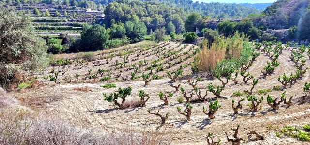 Bouwgrond te koop in Teulada Pueblo, Teulada-Moraira - € 430.000 (Ref: 8438230)