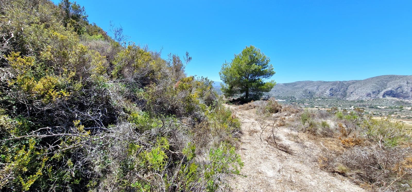 Byggegrund til salg i Teulada - € 480.000 (Ref: 8447963)