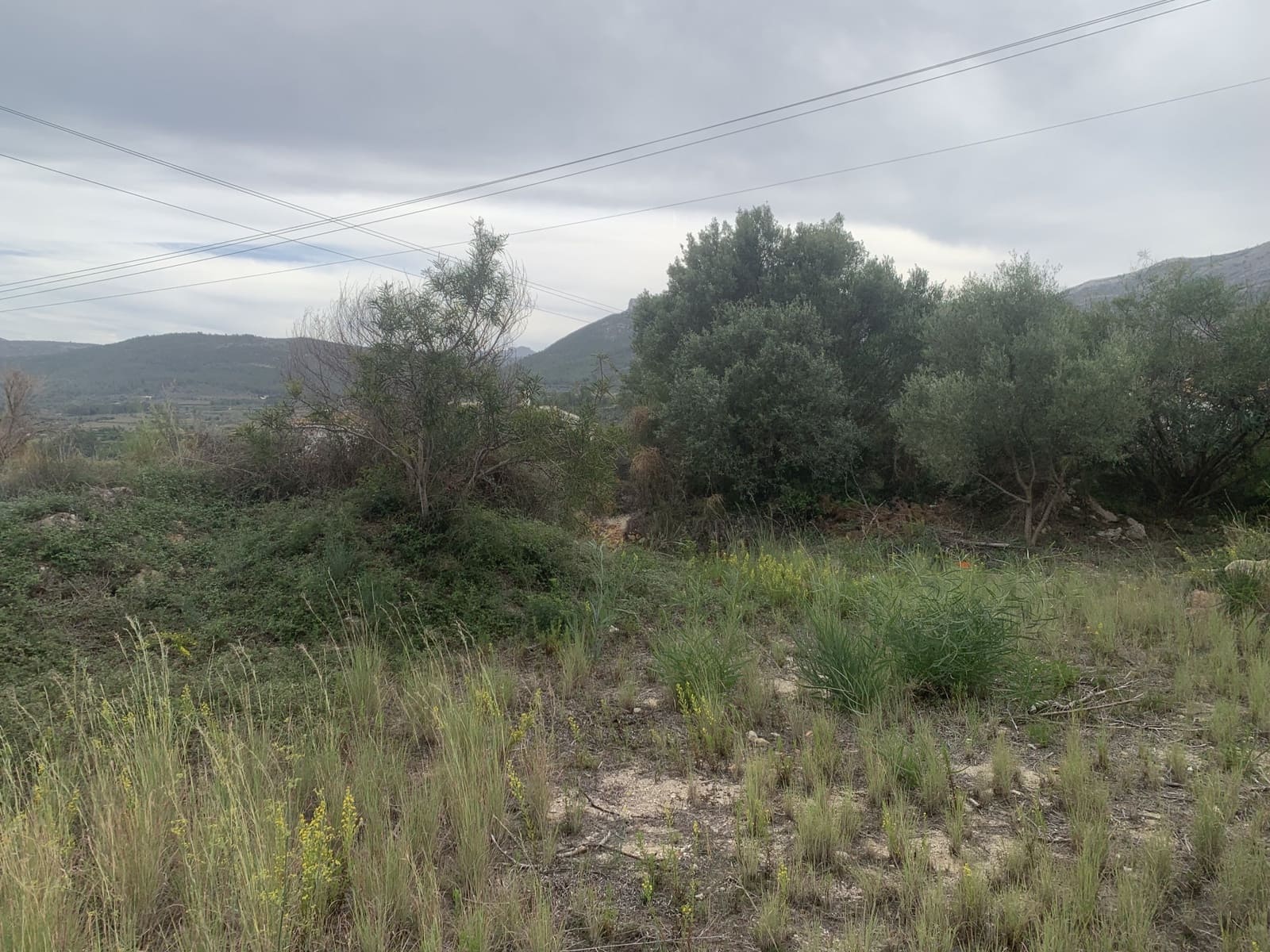 Byggetomt til salgs i Alcalali / Alcanali - € 78 000 (Ref: 8569111)