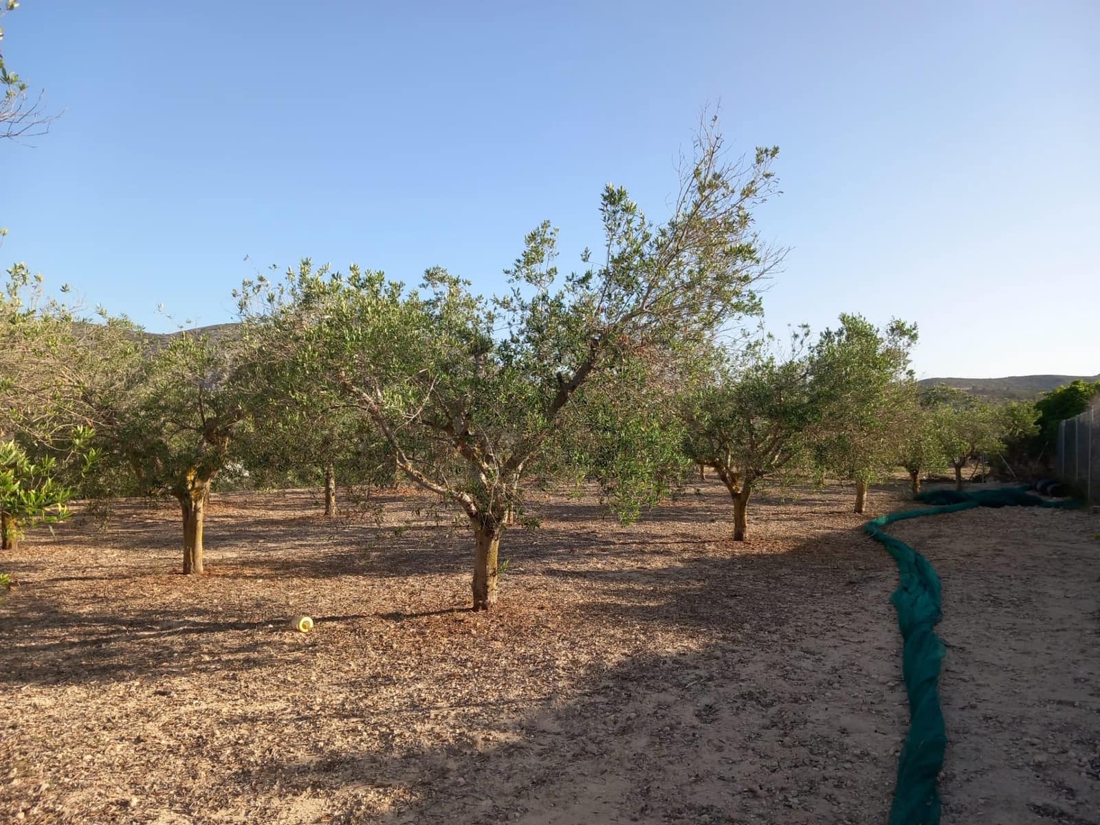 3 slaapkamer Villa te koop in Teulada met zwembad - € 530.000 (Ref: 8942102)