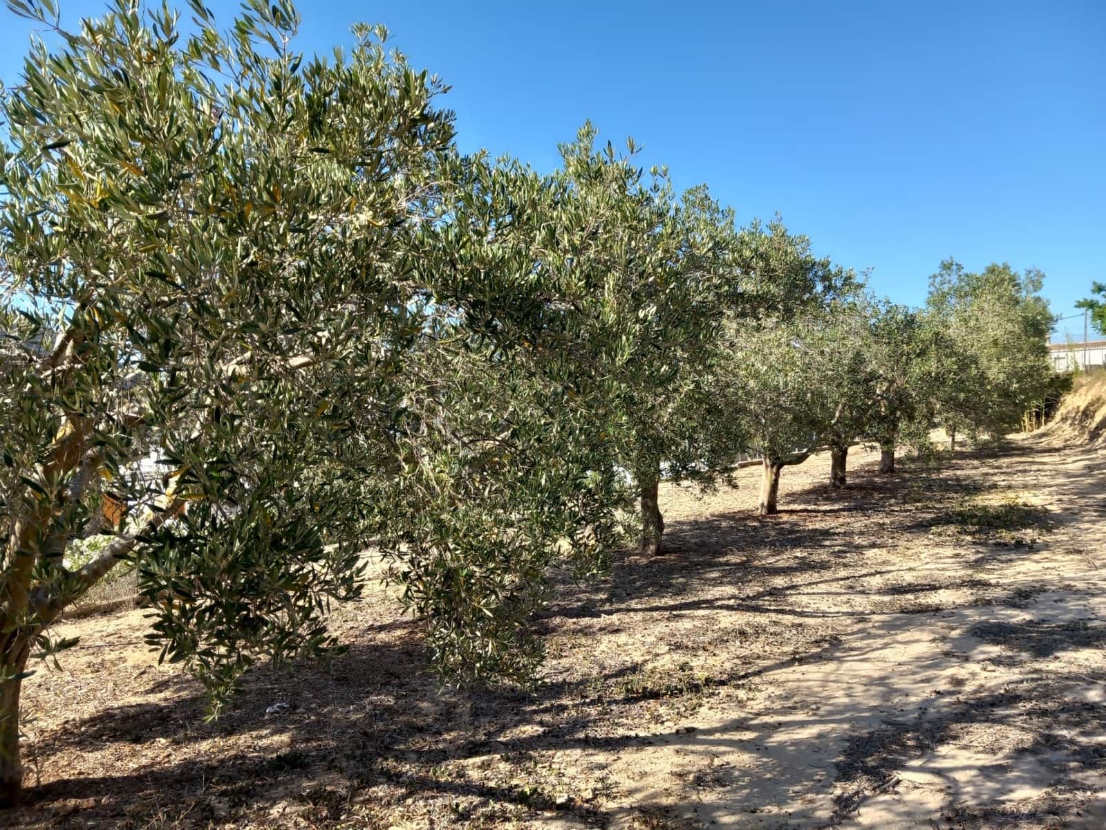 3 slaapkamer Villa te koop in Teulada met zwembad - € 530.000 (Ref: 8942102)