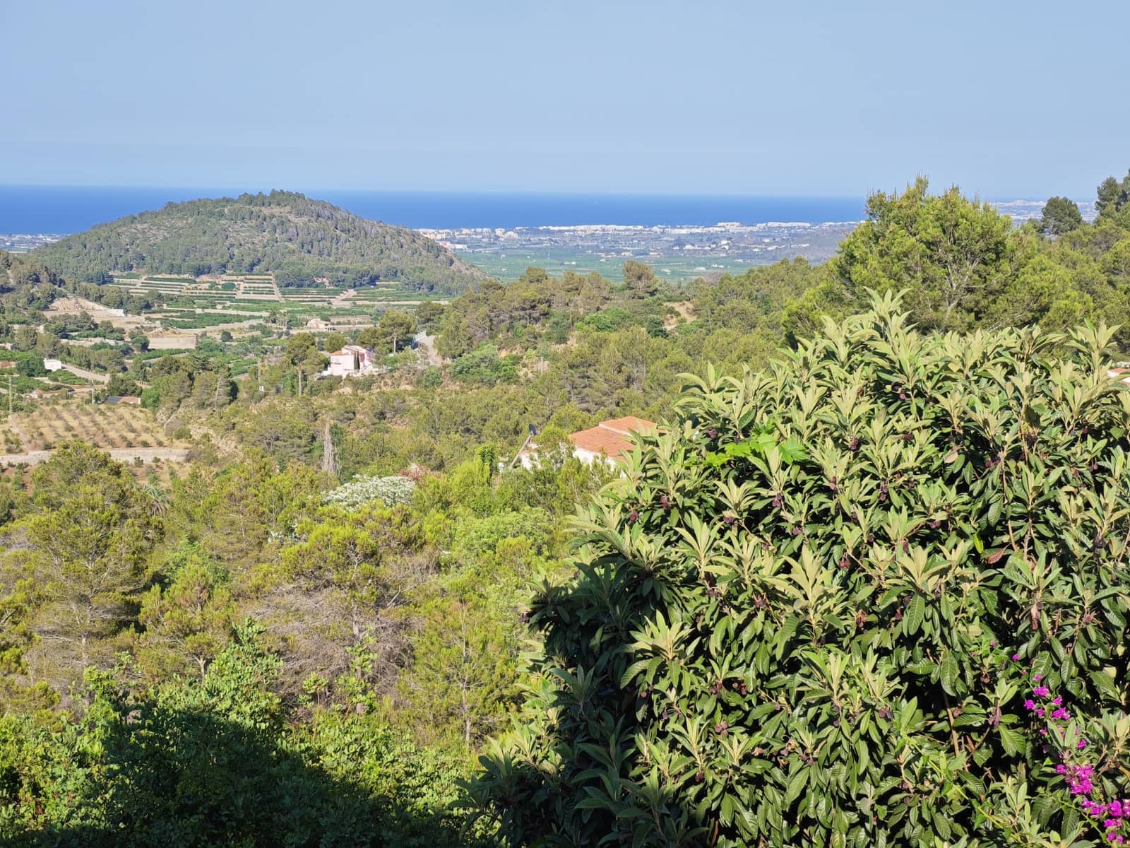 3 slaapkamer Villa te koop in Oliva - € 250.000 (Ref: 9084606)