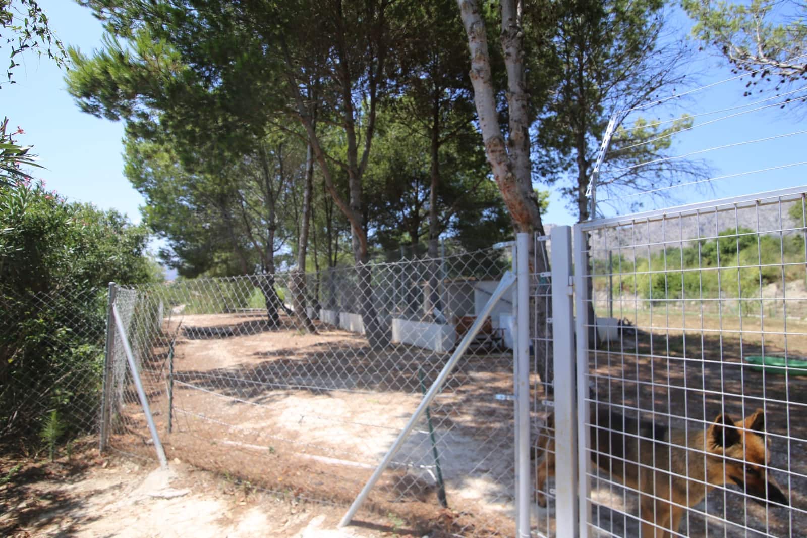 4 soveværelse Villa til salg i Beniarbeig med swimmingpool - € 899.950 (Ref: 9126475)