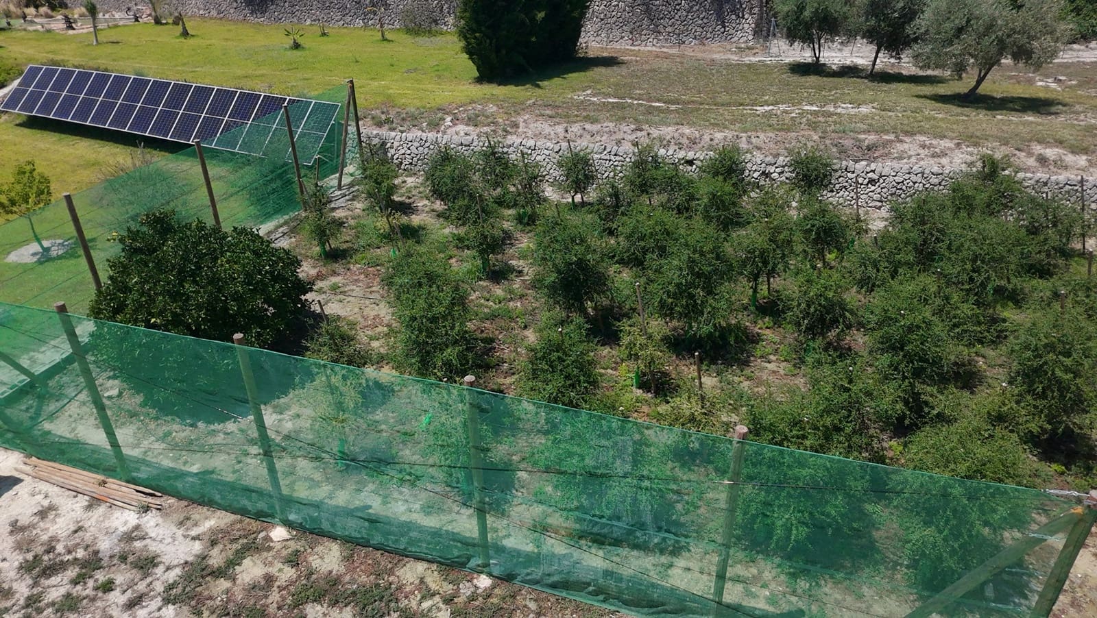 4 soveværelse Villa til salg i Beniarbeig med swimmingpool - € 899.950 (Ref: 9126475)