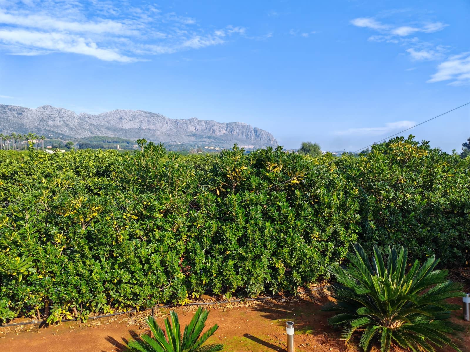 3 sypialnia Willa na sprzedaż w Beniarbeig z basenem - 875 000 € (Ref: 9326330)