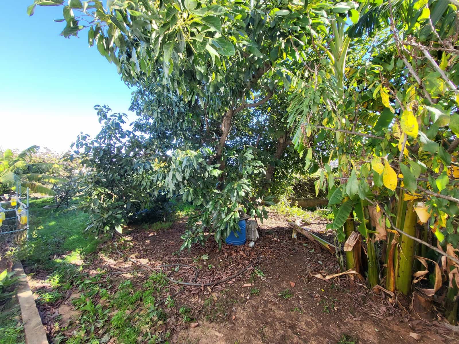 5 bedroom Villa for sale in Potries with pool - € 440,000 (Ref: 9430995)