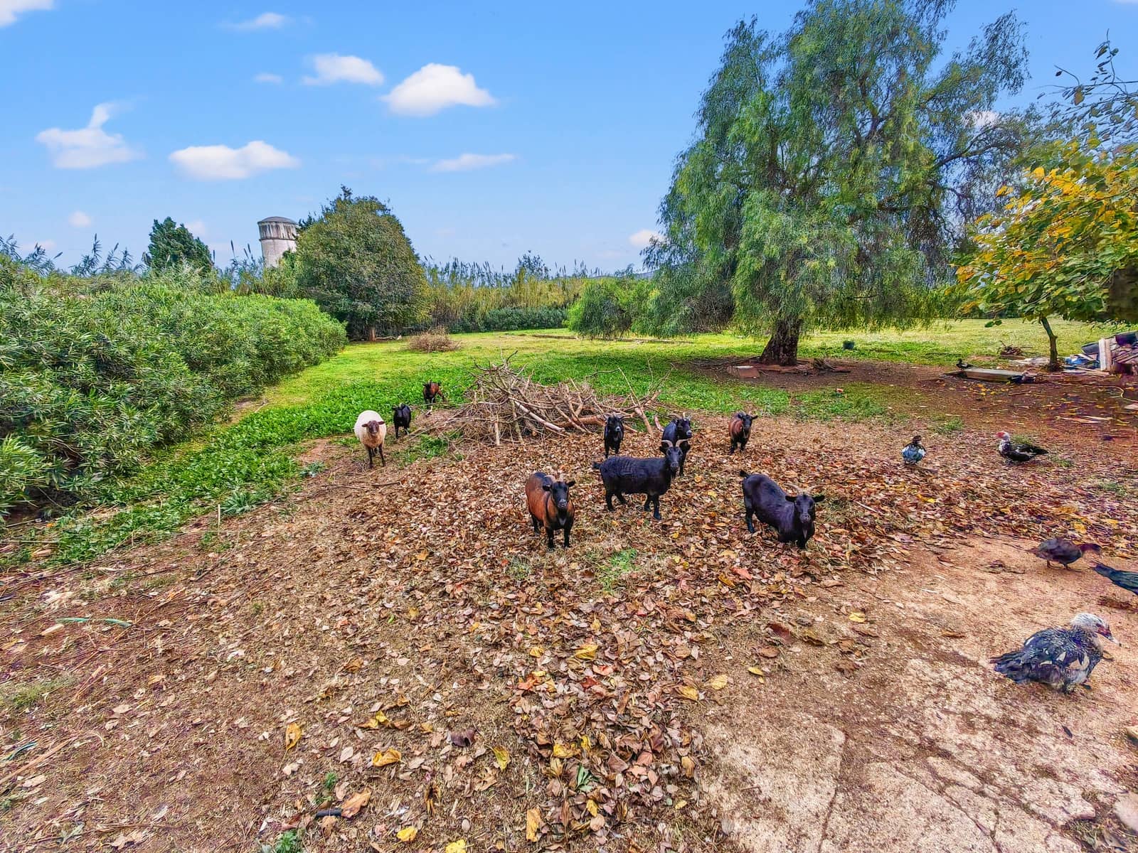 5 soveværelse Villa til salg i Ondara med swimmingpool - € 1.400.000 (Ref: 9440000)