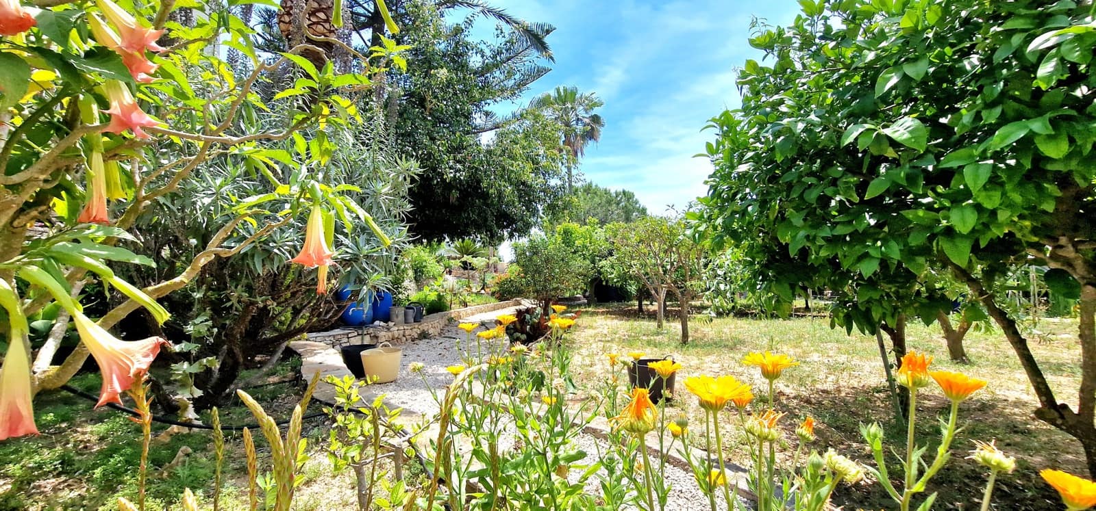 3 camera da letto Villa in vendita in Moraira con piscina - 820.000 € (Rif: 9880794)
