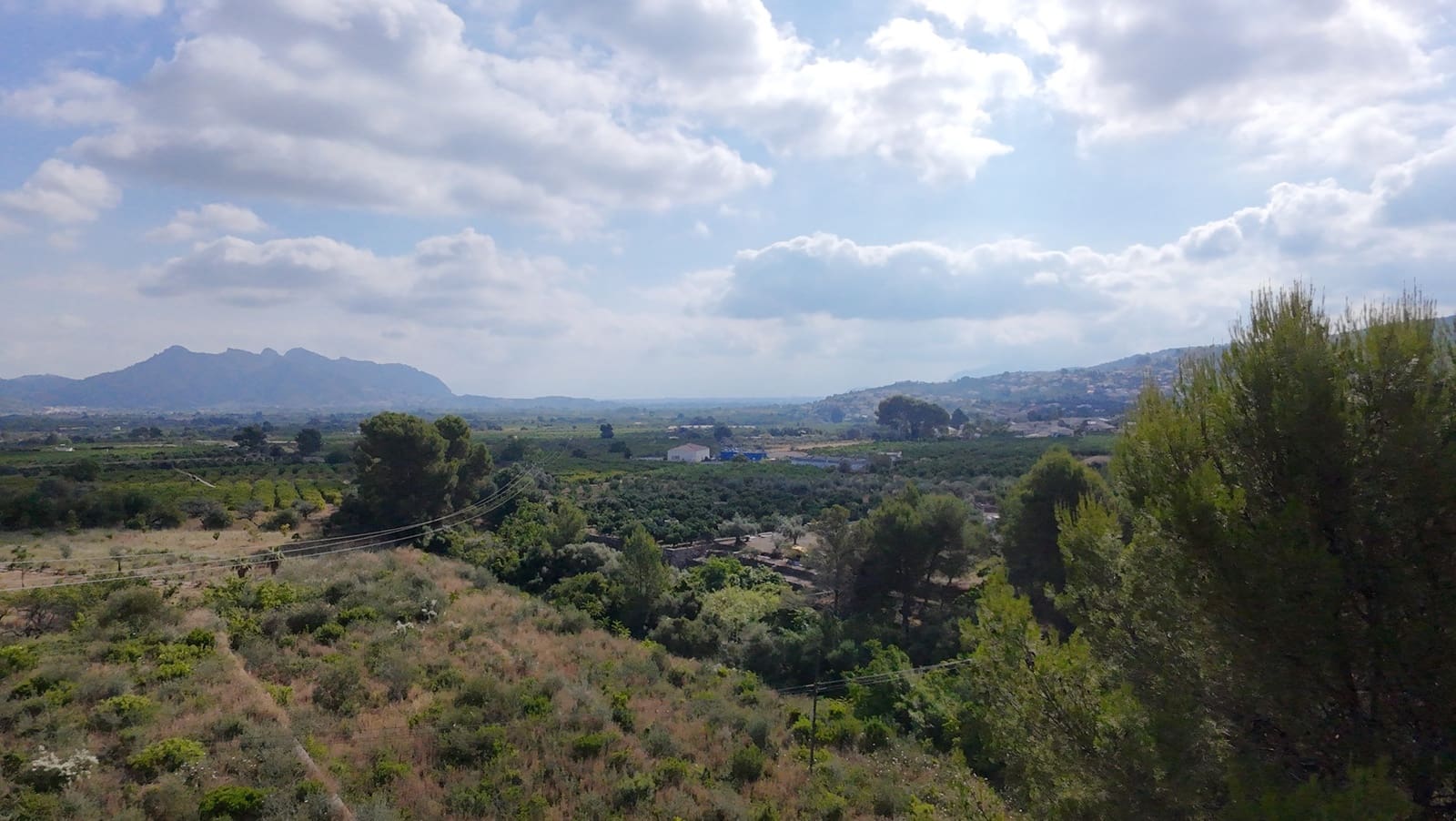 Building Plot for sale in Orba - € 99,000 (Ref: 9899397)