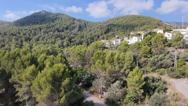Building Plot for sale in Orba - € 99,000 (Ref: 9899397)