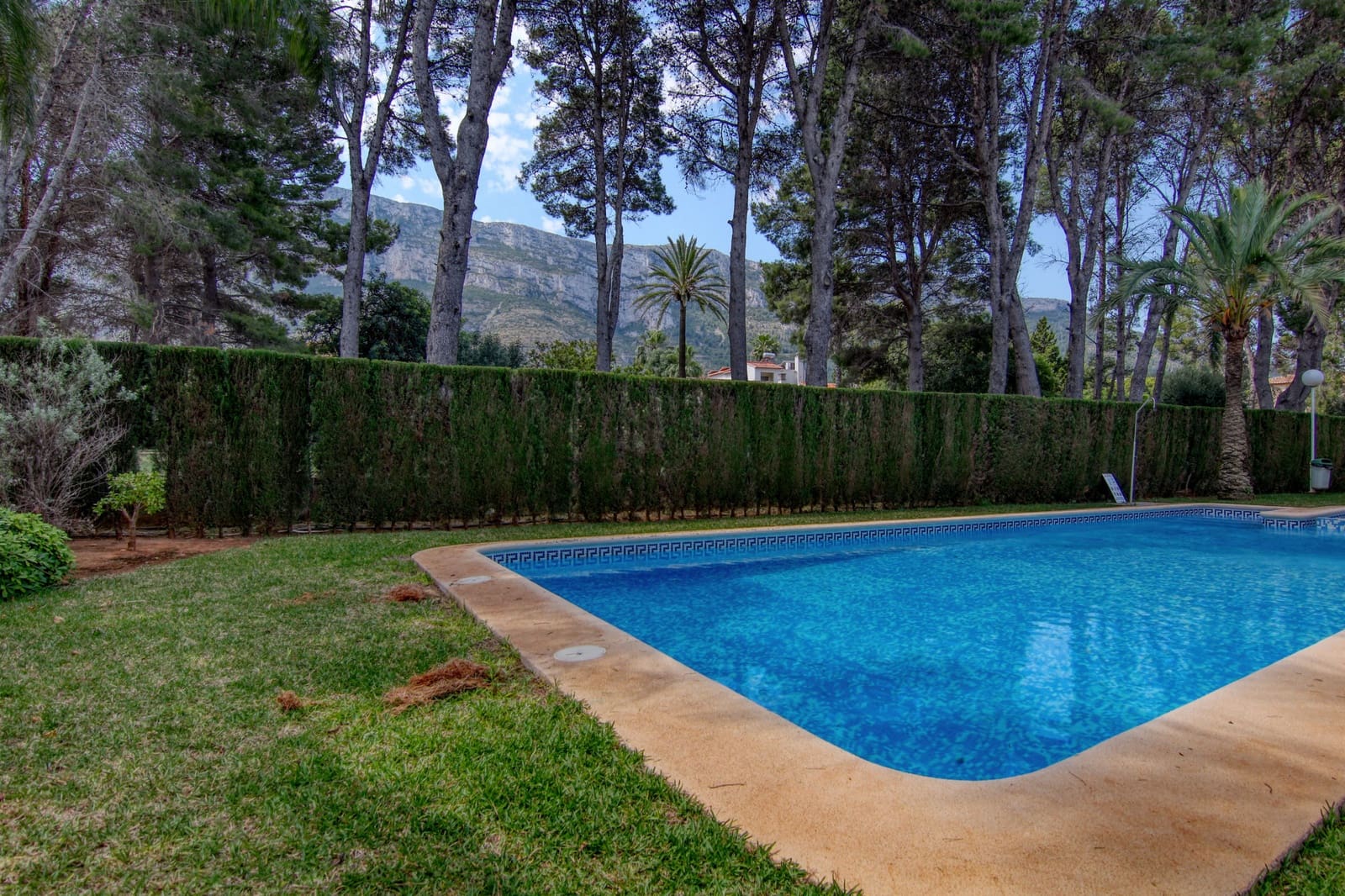 2 soverom Leilighet til leie i Denia med svømmebasseng - € 900 (Ref: 9949481)