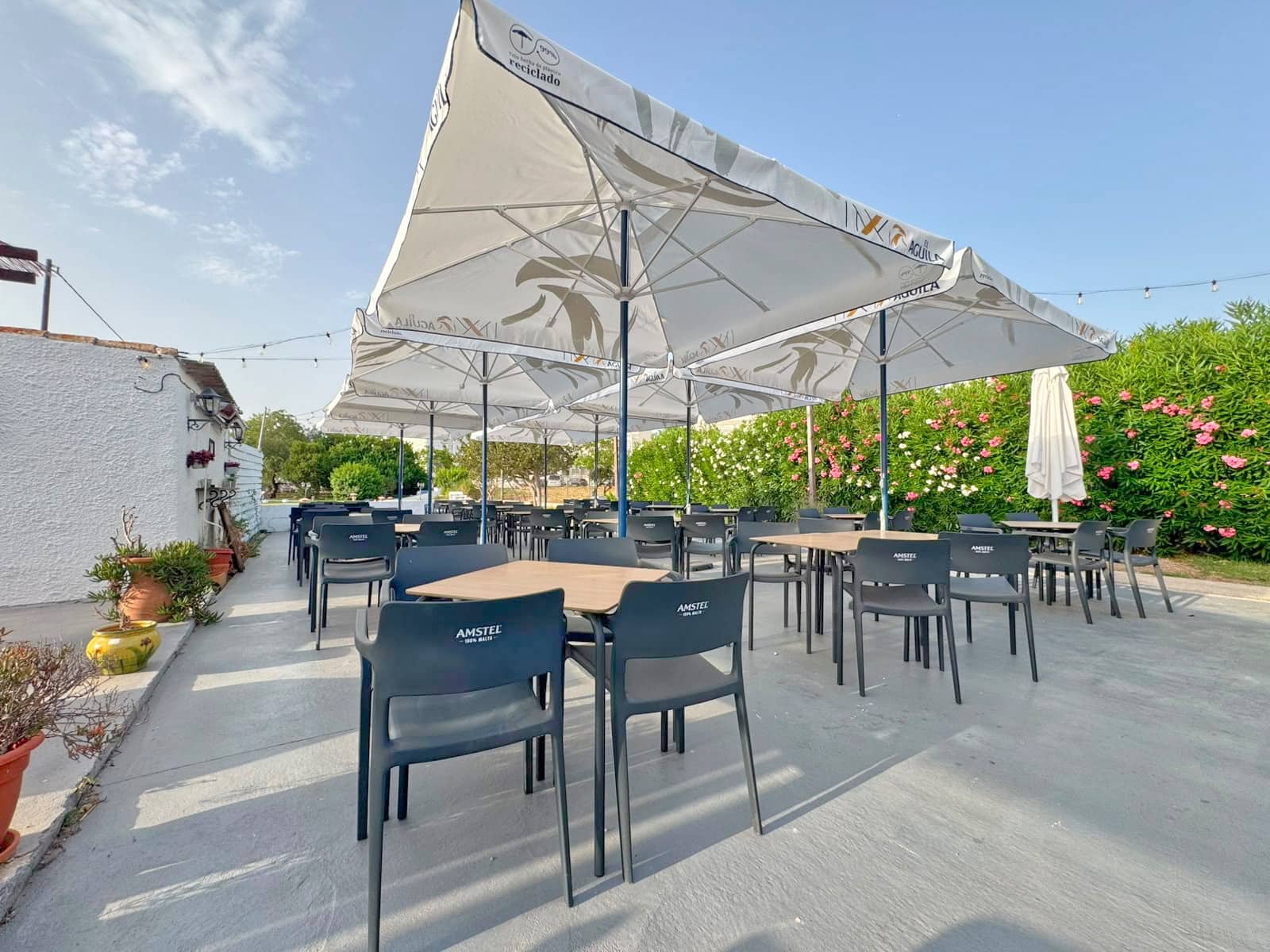 Restaurant/Bar for sale in Arenal - € 450,000 (Ref: 9952358)