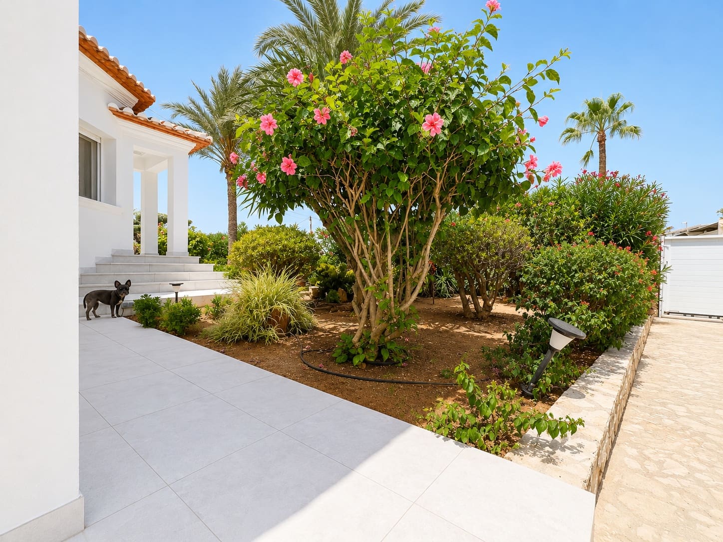 5 bedroom Villa for sale in Denia with pool - € 1,190,000 (Ref: 9970338)