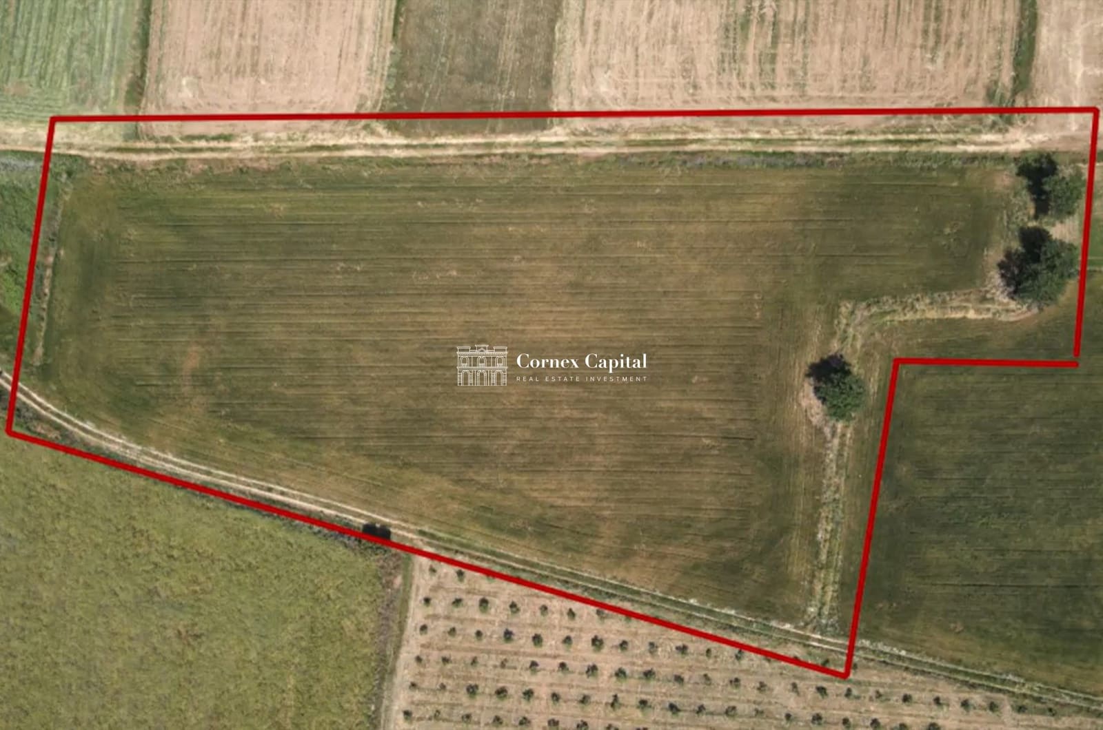 Grunde uden byggetilladelser til salg i Palau-sator - € 36.873 (Ref: 8101278)