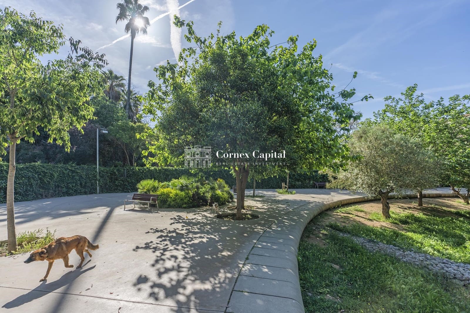 3 soveværelse Lejlighed til leje i Barcelona by med swimmingpool garage - € 4.950 (Ref: 8313701)