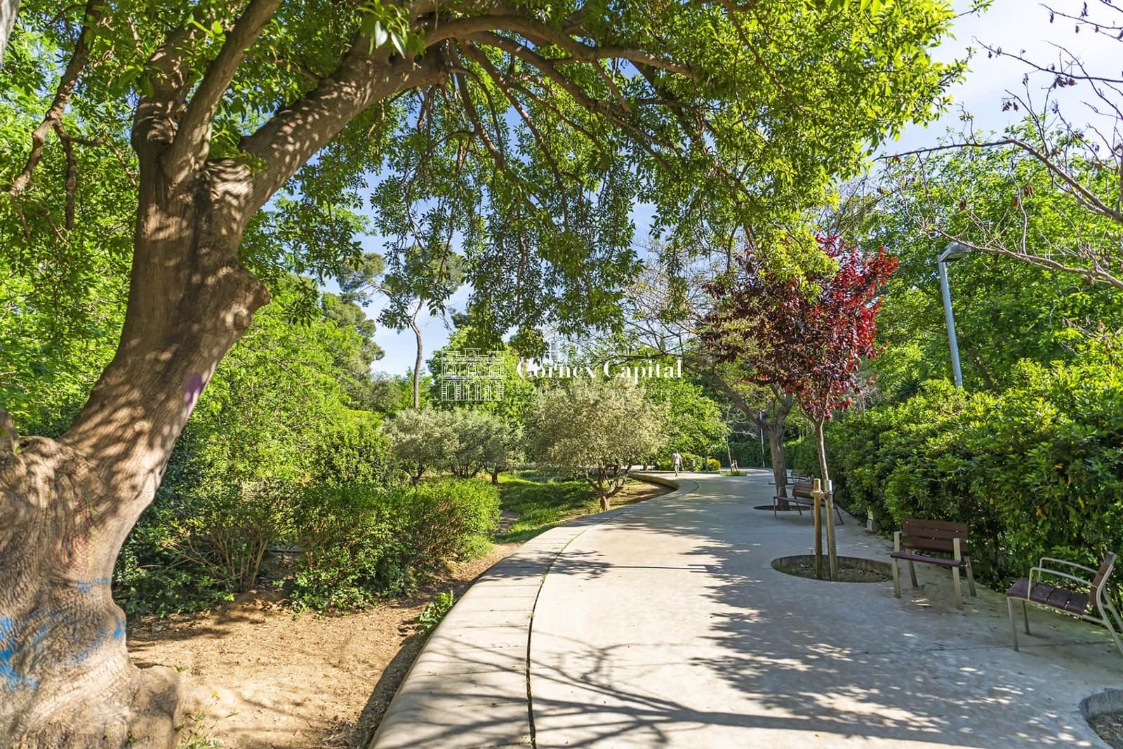 3 quarto Apartamento para arrendar em Barcelona cidade com piscina garagem - 4 950 € (Ref: 8313704)