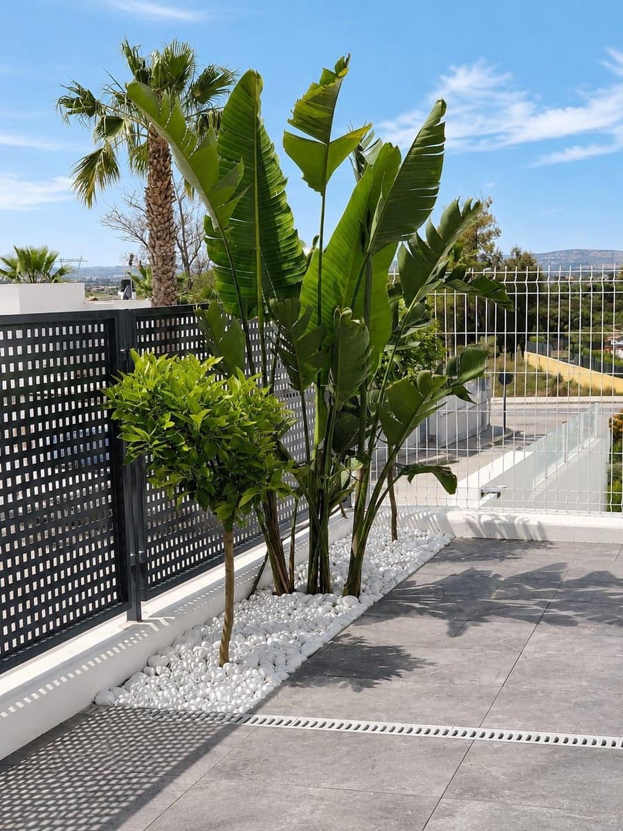 2 sovrum Villa till salu i San Fulgencio - 370 000 € (Ref: 10004116)