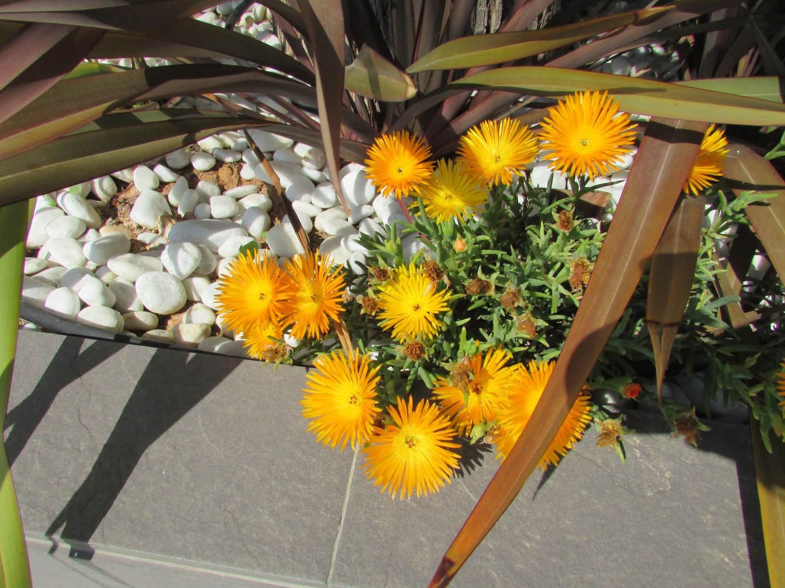 3 bedroom Apartment for sale in Orihuela Costa with pool - € 199,000 (Ref: 9401806)